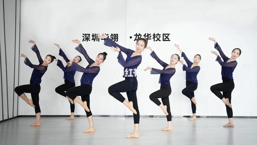 深圳华翎舞蹈培训学校零基础舞蹈培训爵士舞 钢管舞 古典舞 酒吧领舞