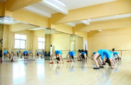 舞蹈班培训加盟费