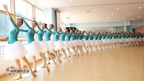 热烈祝贺小花盛开少儿舞蹈培训加盟校山东潍坊超级星艺校盛大开业